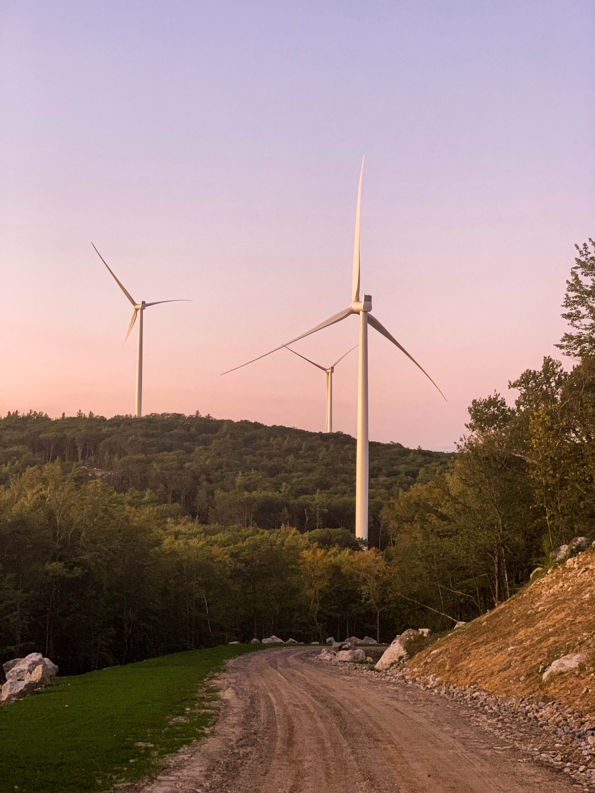 Wind Turbines Pink Sunset Square