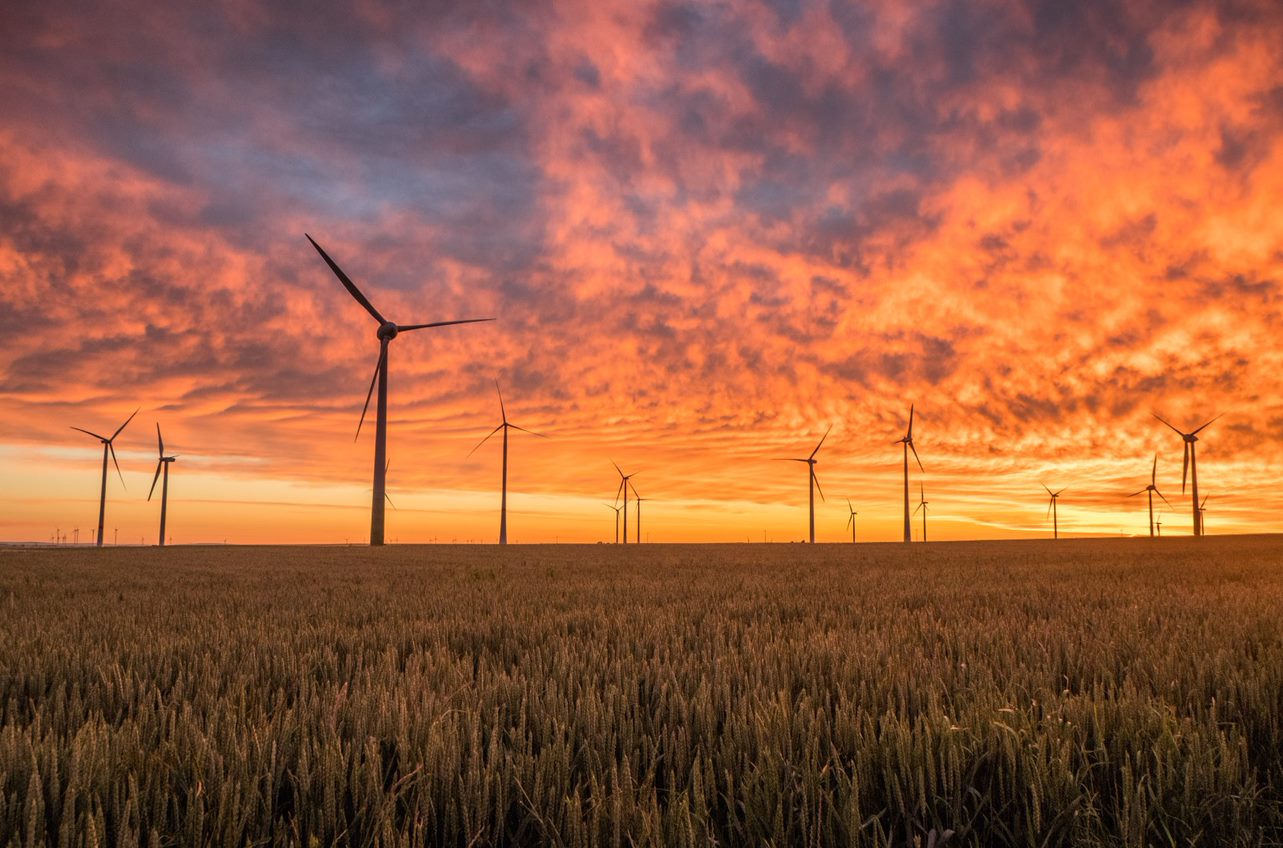 Horizon Hill Wind Farm Sunrise over field