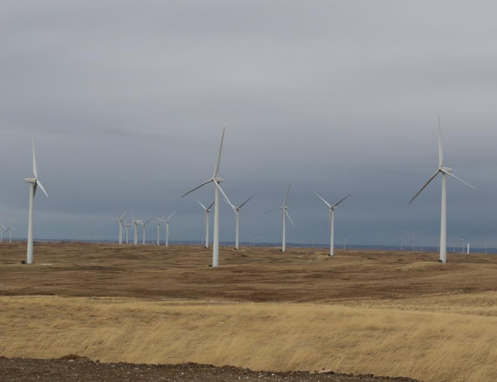 Wind Farm field in the fall